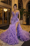 The Regal Raiment Gown